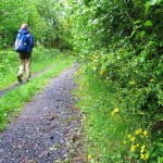 Wanderweg in Petting am See